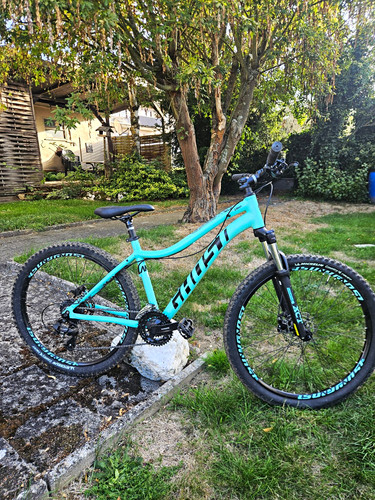 Biete mountainbike s - mountainbike.,