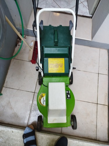 Rasenmähr mit elektromotor - mit,